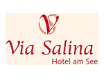 www.via-salina.at Logo